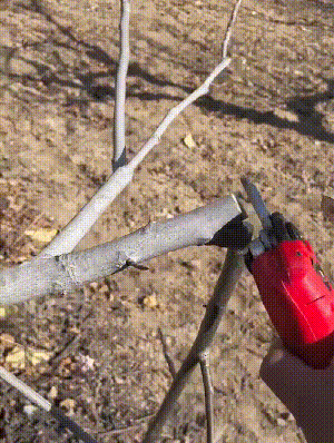 3.gif