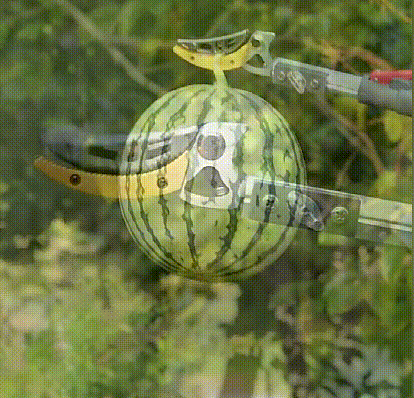 8.gif